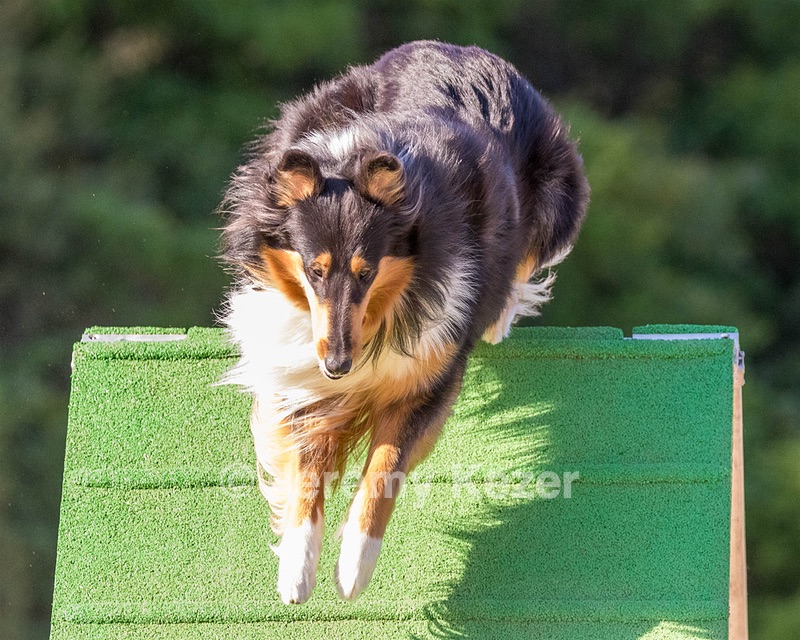 20160618-CCKC-2422.jpg