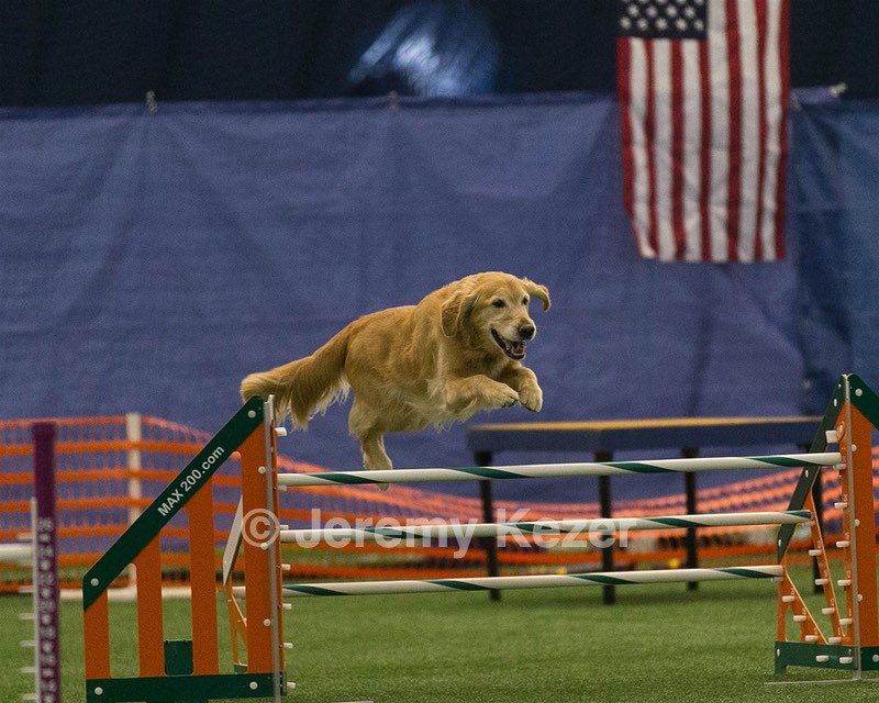 20150321-LEAP-0708.jpg