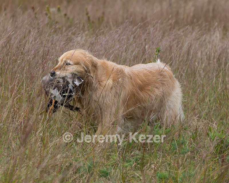 20130921-WCL-0014.jpg