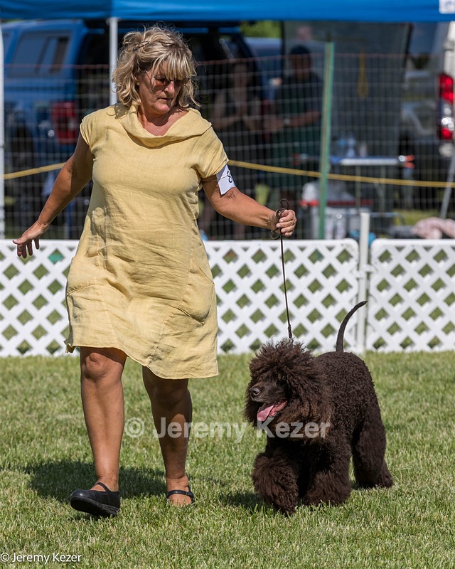 86 - GCH CH Chantico's The Power Of One (Allure)