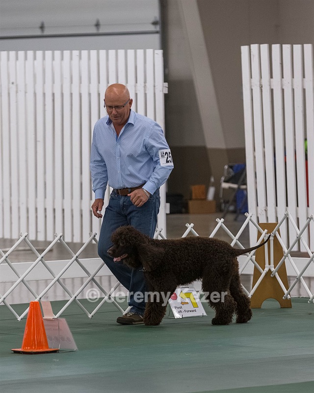 2502 - CH BLACKTHORN'S LASS THAT LOVES A SAILOR IN WICKLOW RE RN CGC (Calypso)