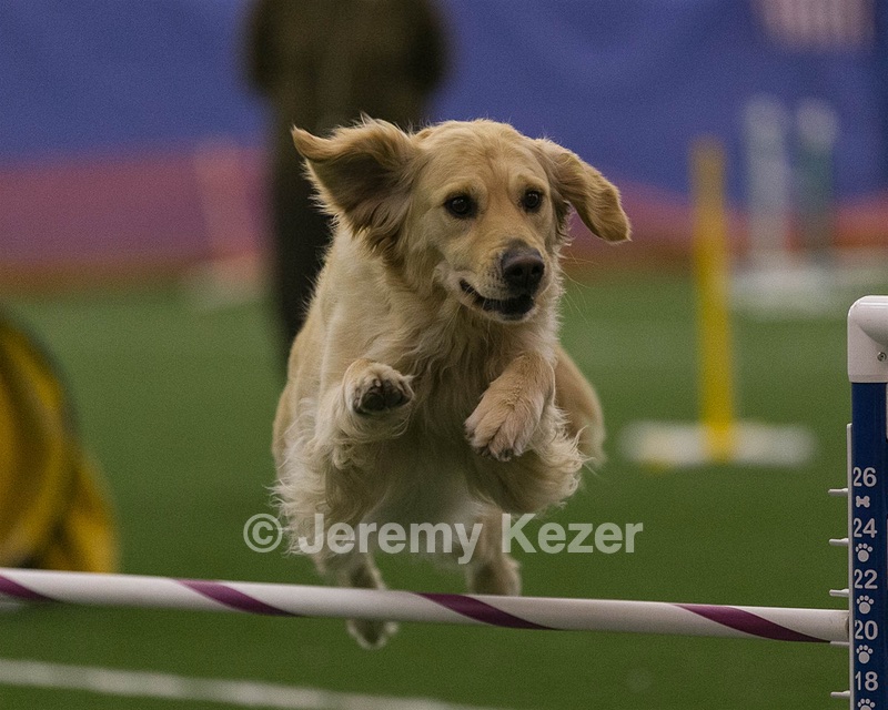 20150321-LEAP-0280.jpg