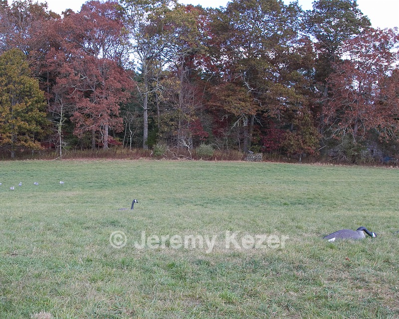 20131027-C-0010.jpg