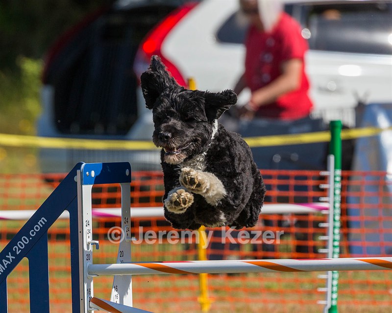 Jerry Lee Ferreira