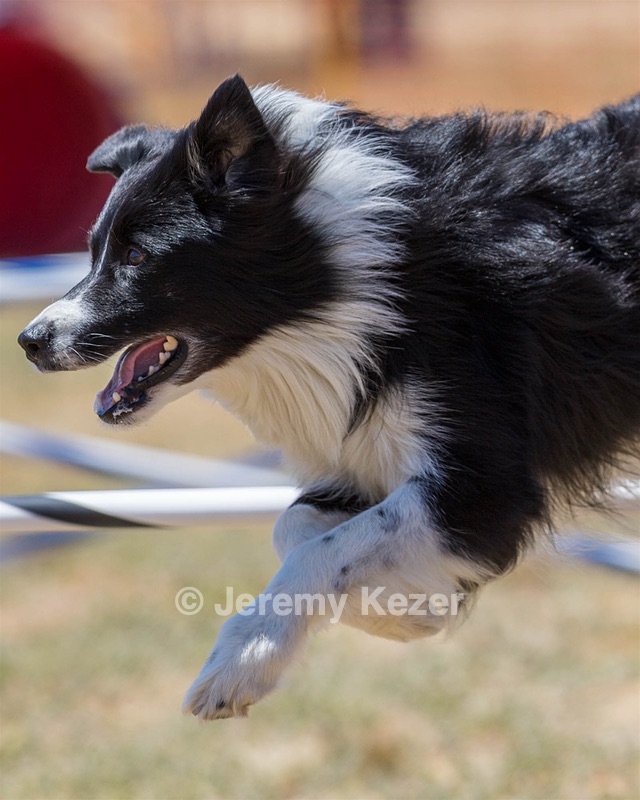 20160618-CCKC-1591.jpg