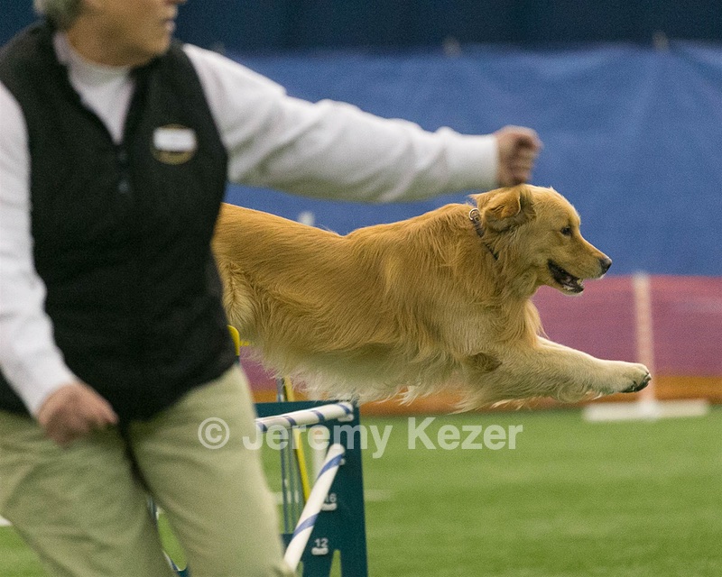 20150321-LEAP-0514.jpg