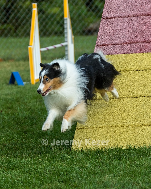 20200819-0266.jpg