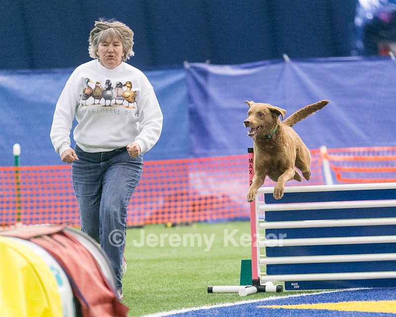 20150322-LEAP-0644.jpg