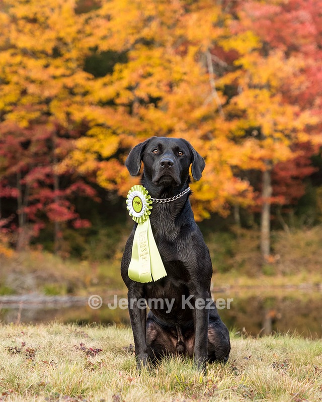 Beau