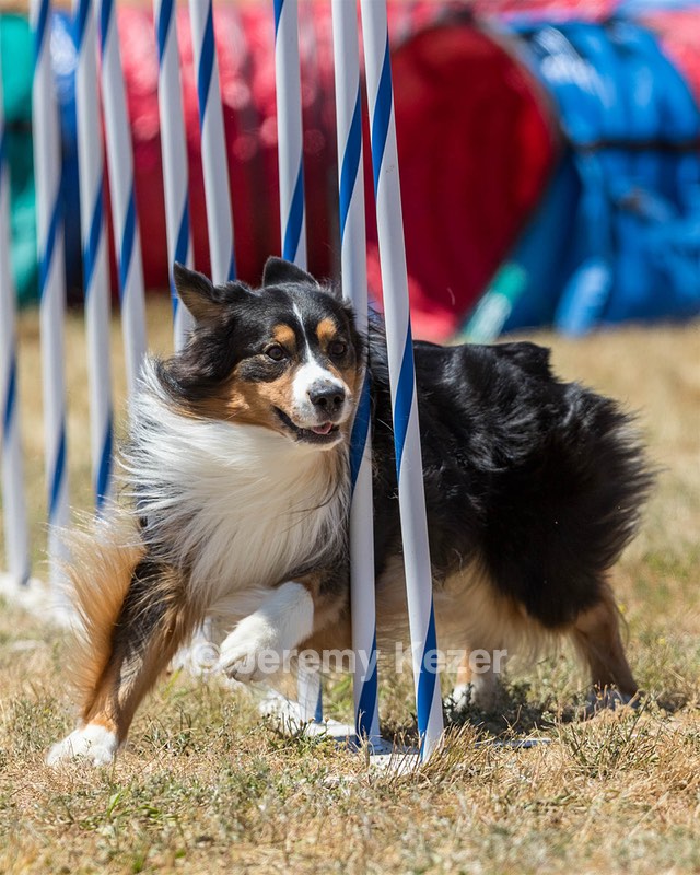 20160618-CCKC-1624.jpg