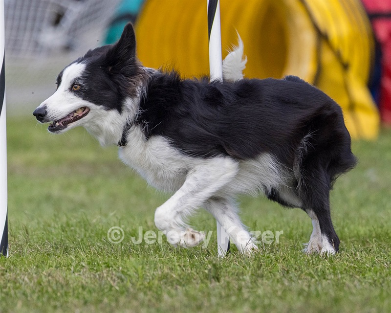 20230917-PVKC-2743.jpg