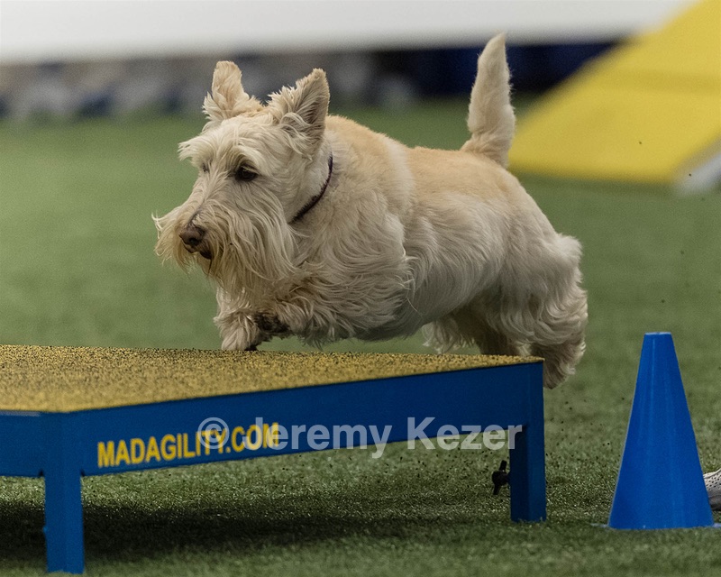 Monty Krapf