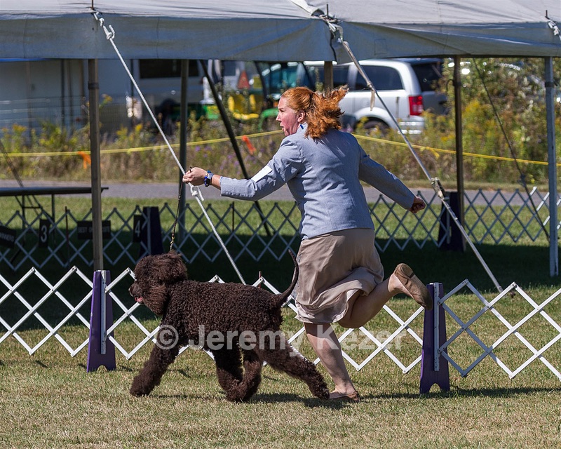 05 - GCH WATERFORD'S TROUBLE BREWING