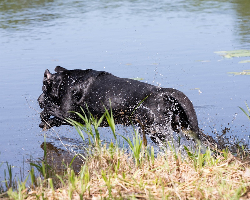 20130602-SEAW-0343.jpg