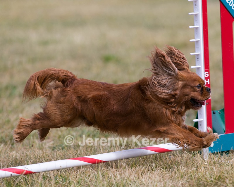 20150613-CCKC-0013.jpg