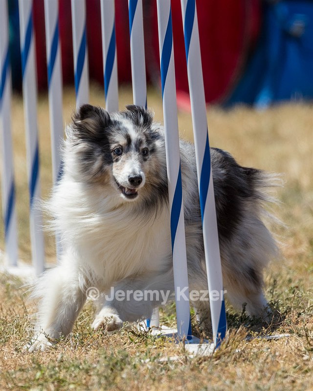 20160618-CCKC-1925.jpg