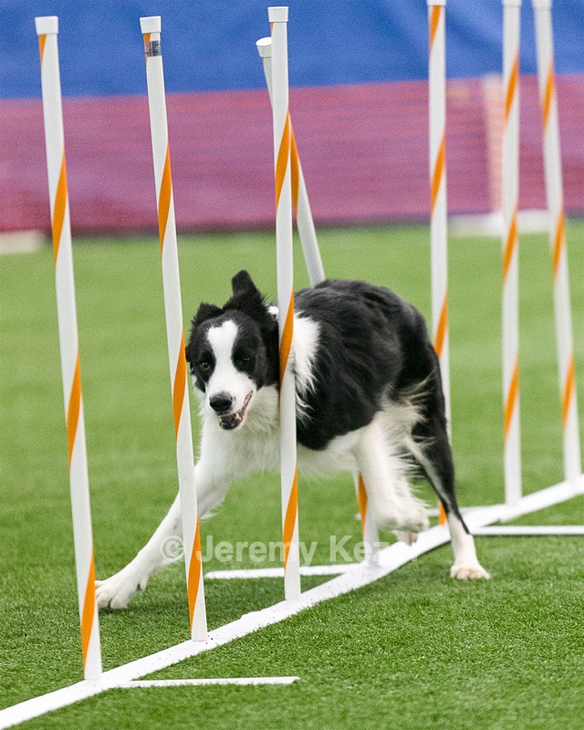 20150322-LEAP-0907.jpg