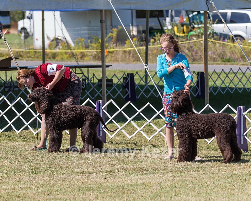 20190927-0357.jpg
