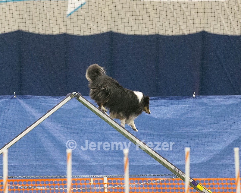 20150321-LEAP-1296.jpg