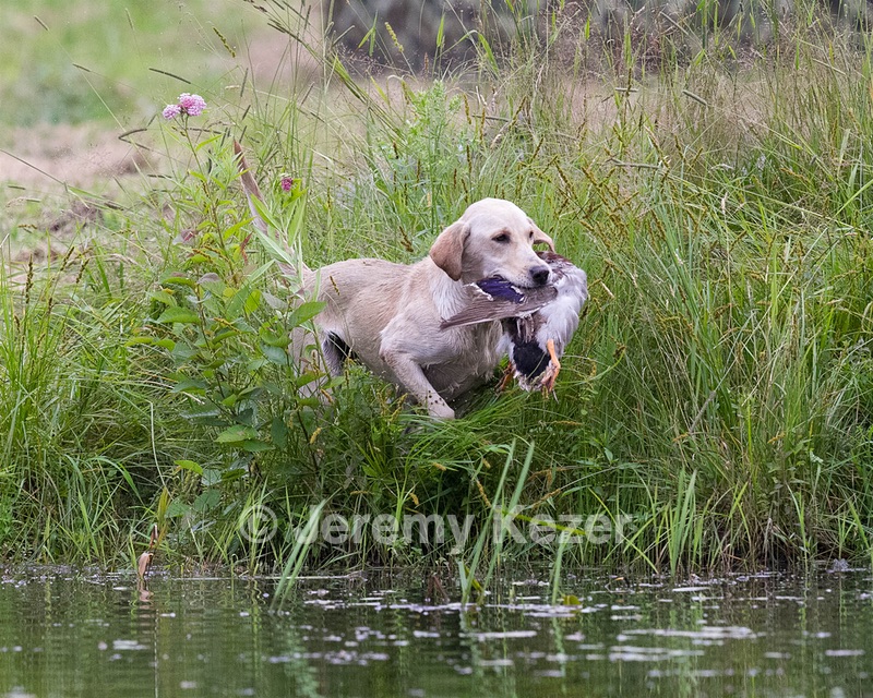 20130713-MHB2-0244.jpg