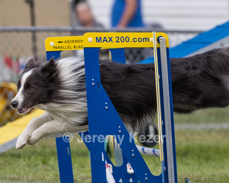 20230917-PVKC-2774.jpg