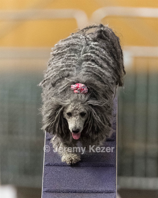 Peetie Sulewski