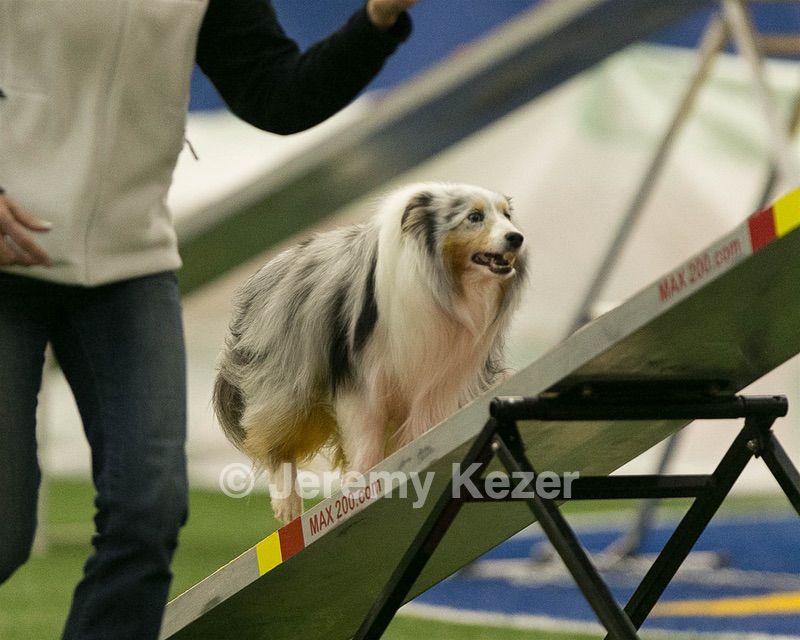 20150321-LEAP-1530.jpg