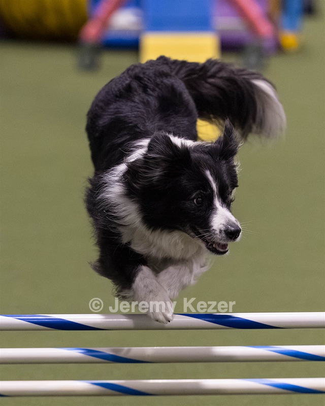 Breeze Schunk