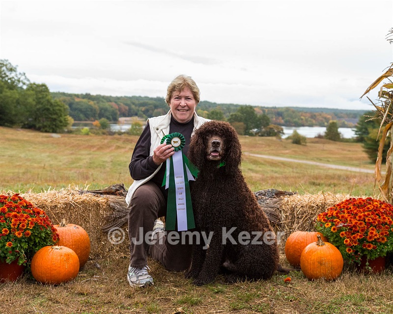 Harley