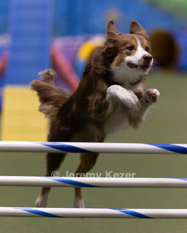 20260221-0896.jpg