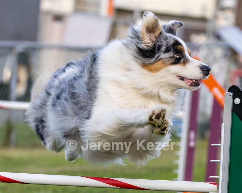 20230916-PVKC-1725.jpg