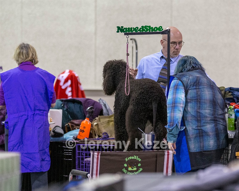 20190111-ASC-0009.jpg