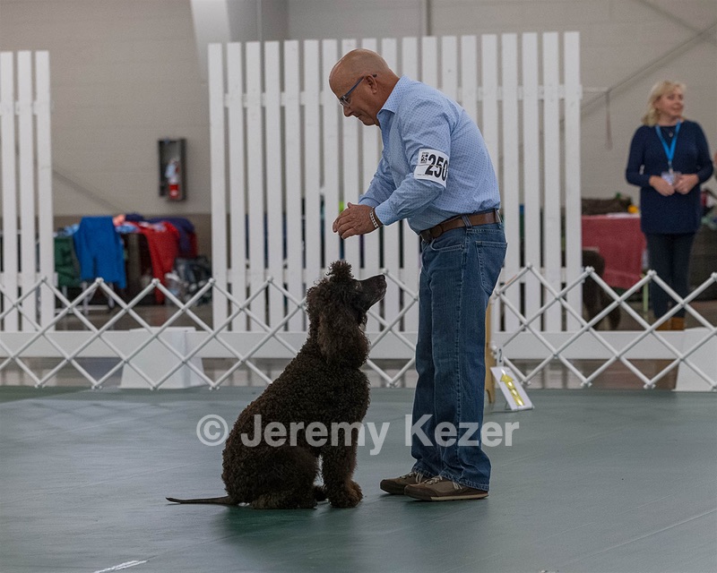 2503 - GCH CH BLACKTHORN'S KEEVA CROMPTON AX AXJ XF RN CGC (Keeva)