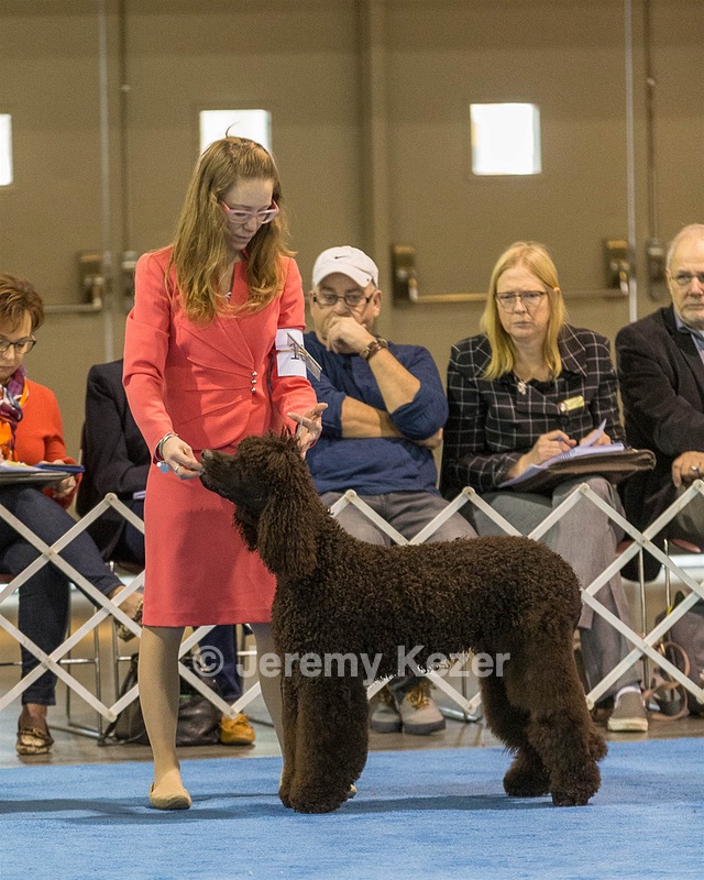 10 - Poole's Ide Touch Of Mink (Darla)