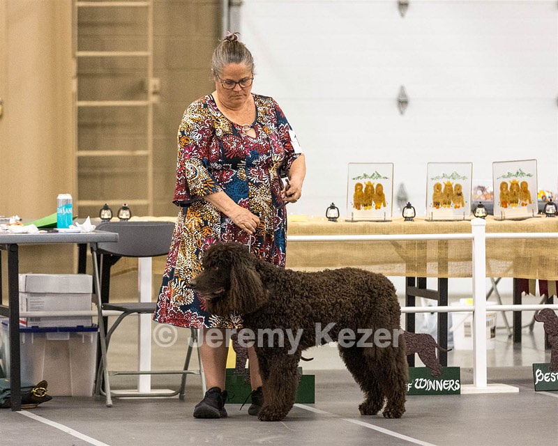 17 - Ballyhoo’s V Finnegan Mcneill BN FDC CA BCAT DS DJ CGCA TKN VHMA JH JHU WD