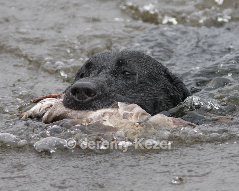 20080531-HRW-1177.jpg