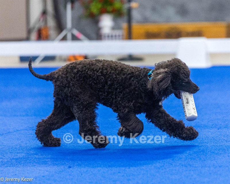 20240522-FT-0250.jpg