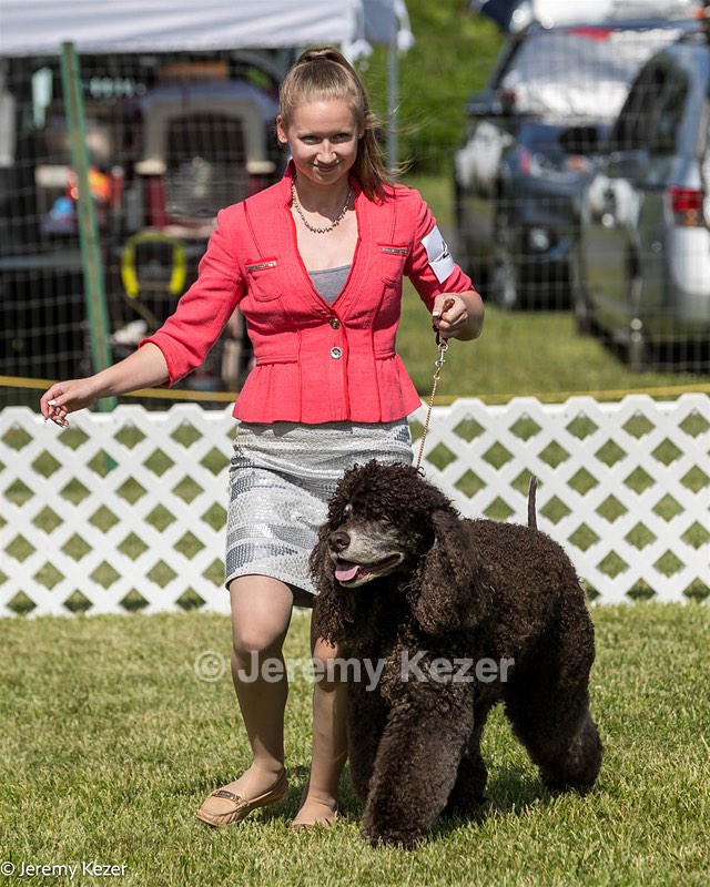 47 - GCH CH Poole's Ide Reversal Of Fortune