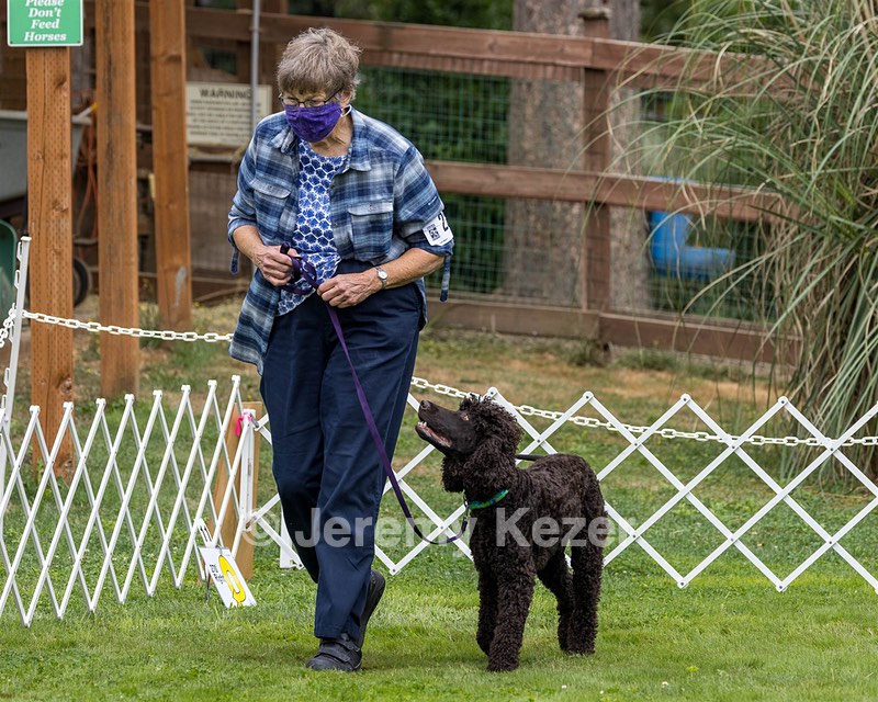 2203 - ILDANOCH JUST DESSERTS CGC TKN