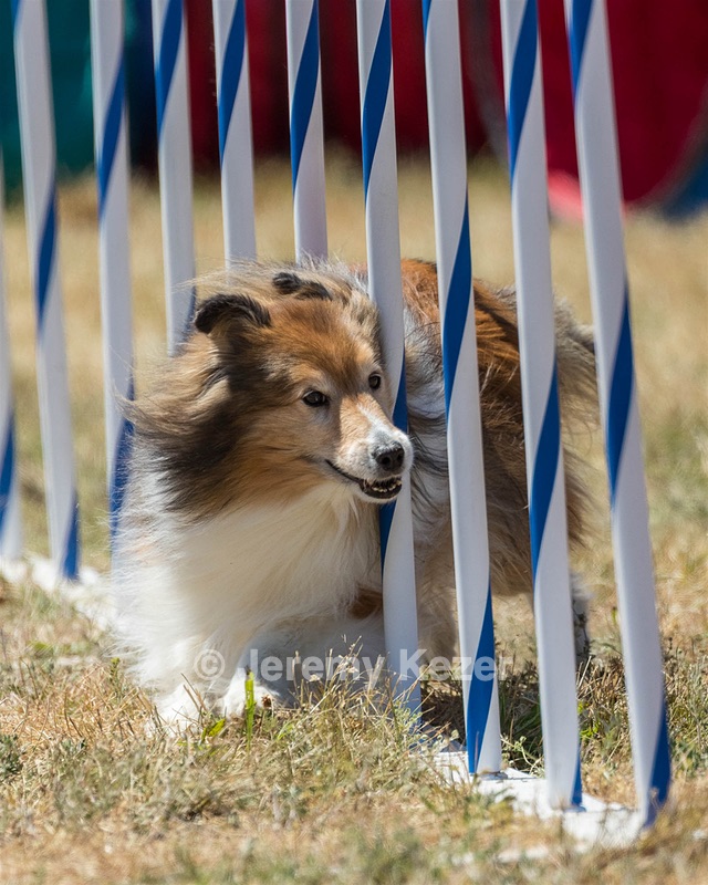 20160618-CCKC-1937.jpg