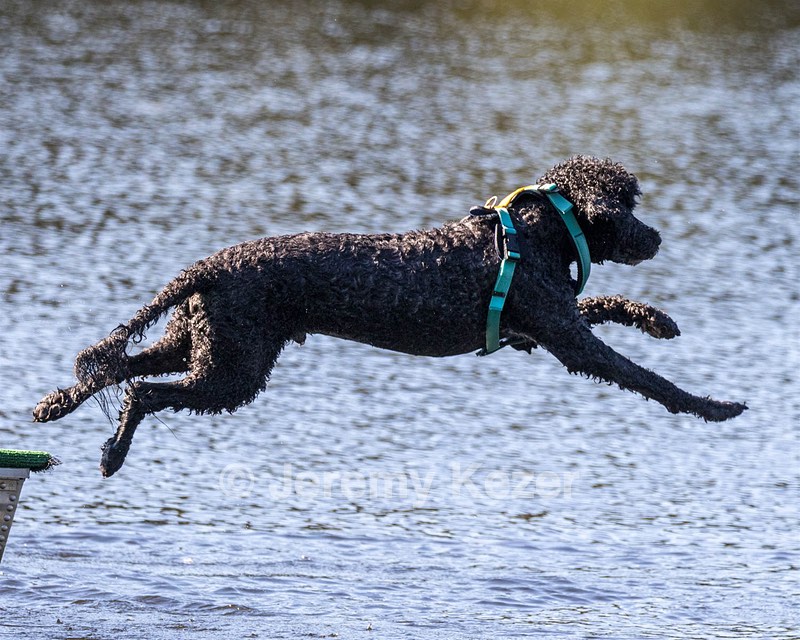 Piper Ann