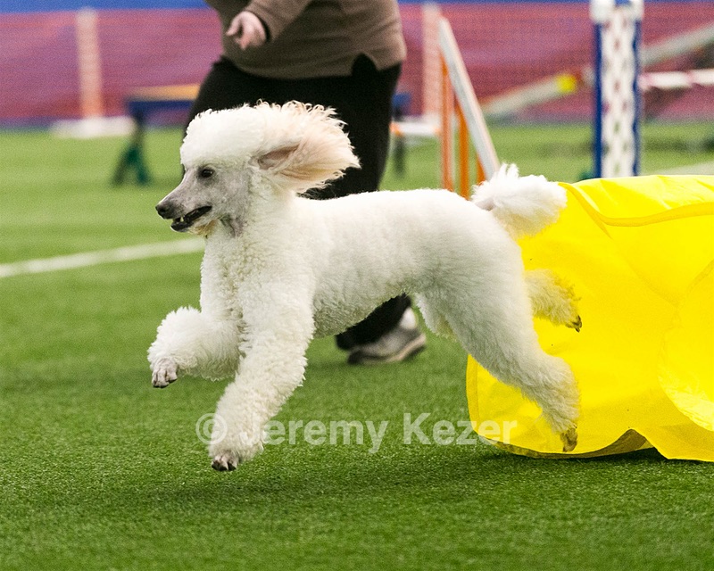 20150322-LEAP-0484.jpg