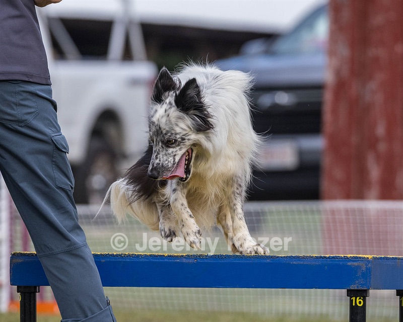 20230917-PVKC-2812.jpg