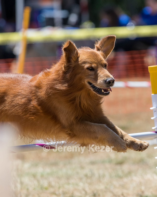 20160618-CCKC-1480.jpg