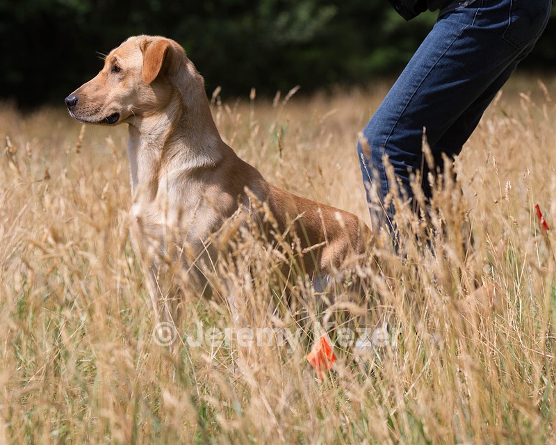 RUFF Millheim