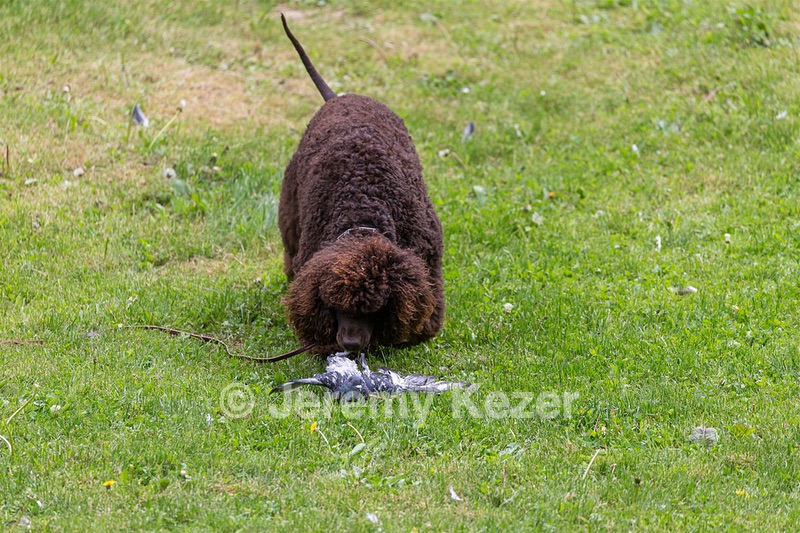 20190512-BD-0031.jpg