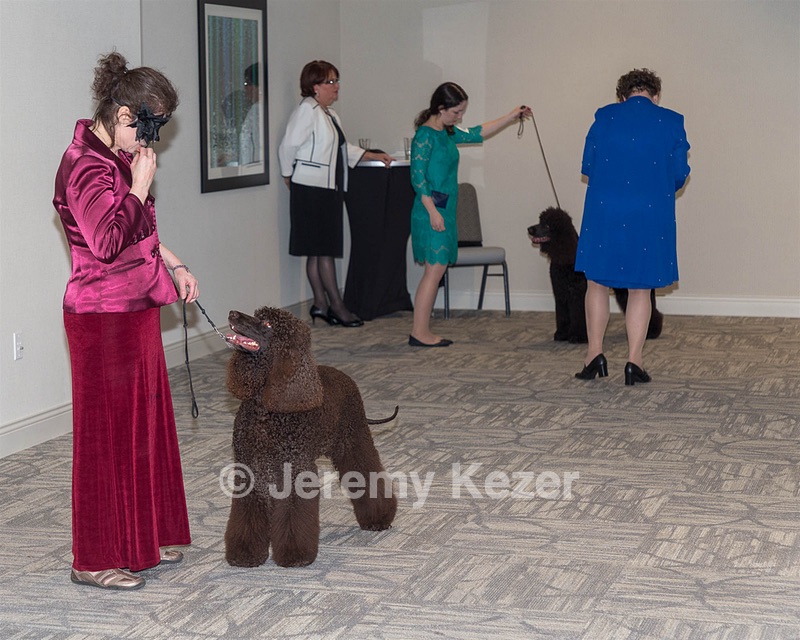 20190514-TEN-0083.jpg