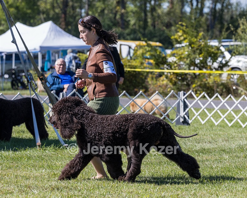 25 - GCH CH POOLE'S IDE RIPTIDE OHS RI DS CGC (Rip)