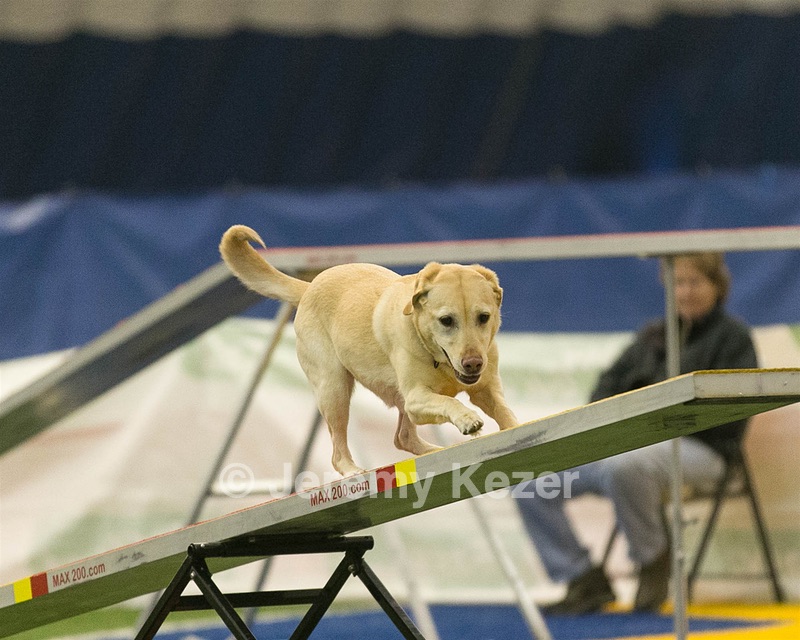 20150321-LEAP-0921.jpg