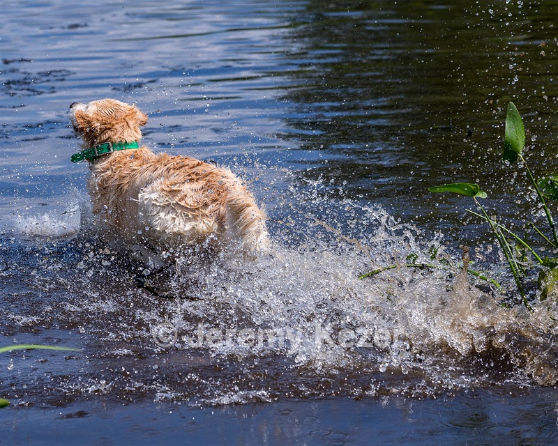 Rio Drager